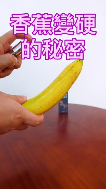 19_toys