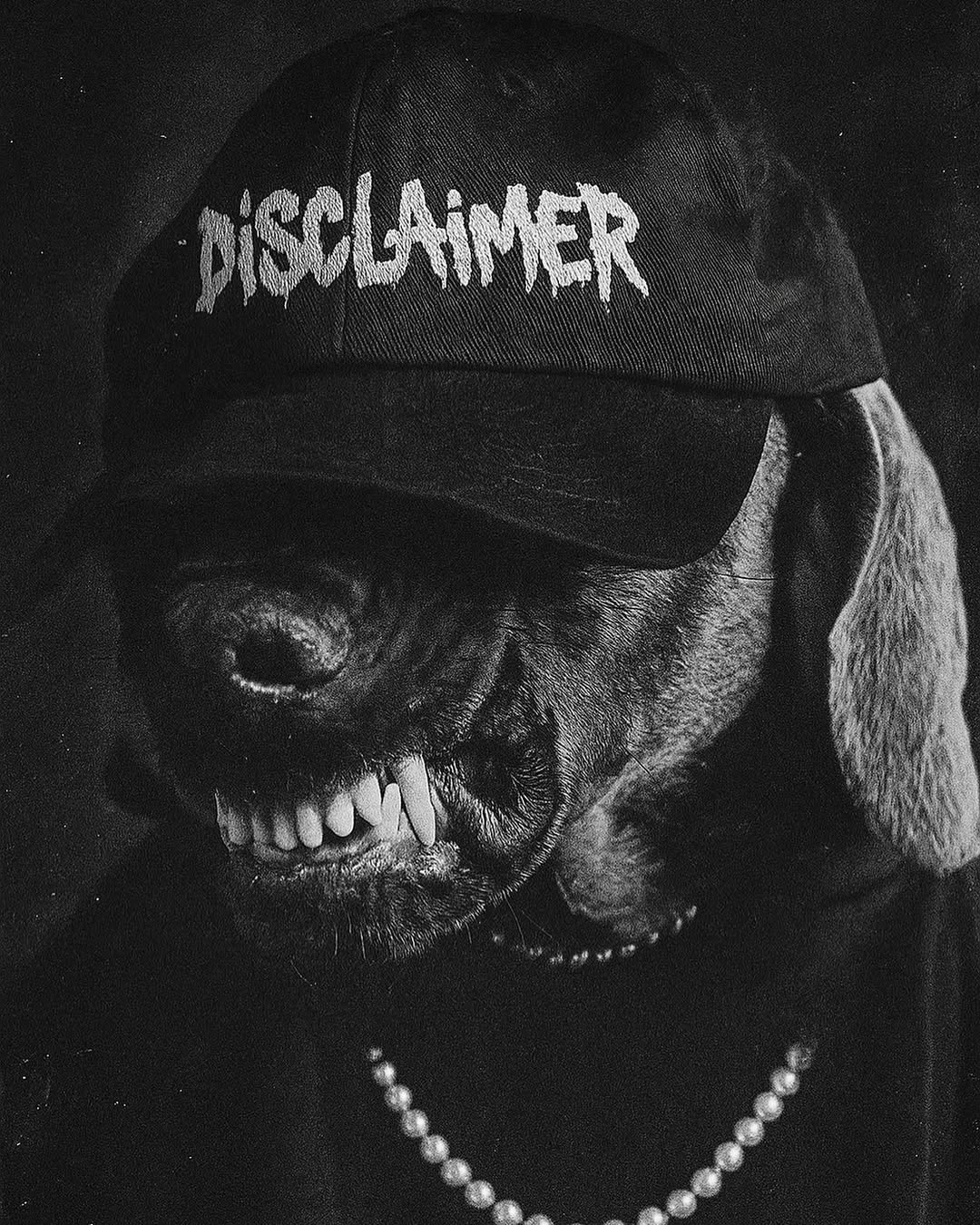 Instagram Disclaimer_official