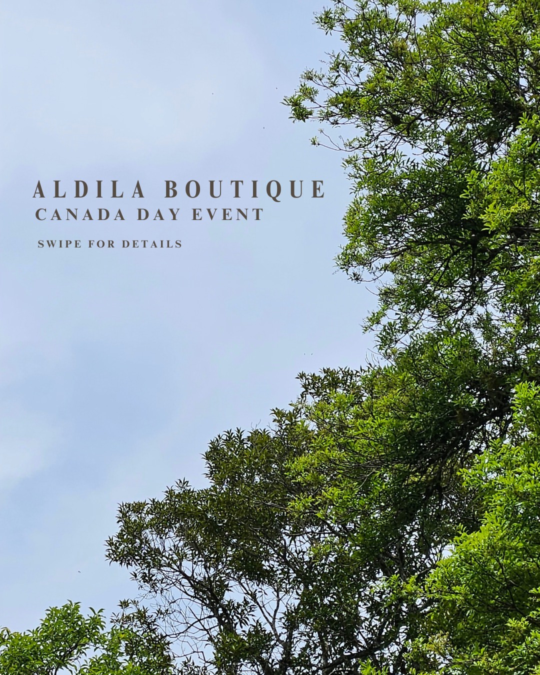 aldilaboutique