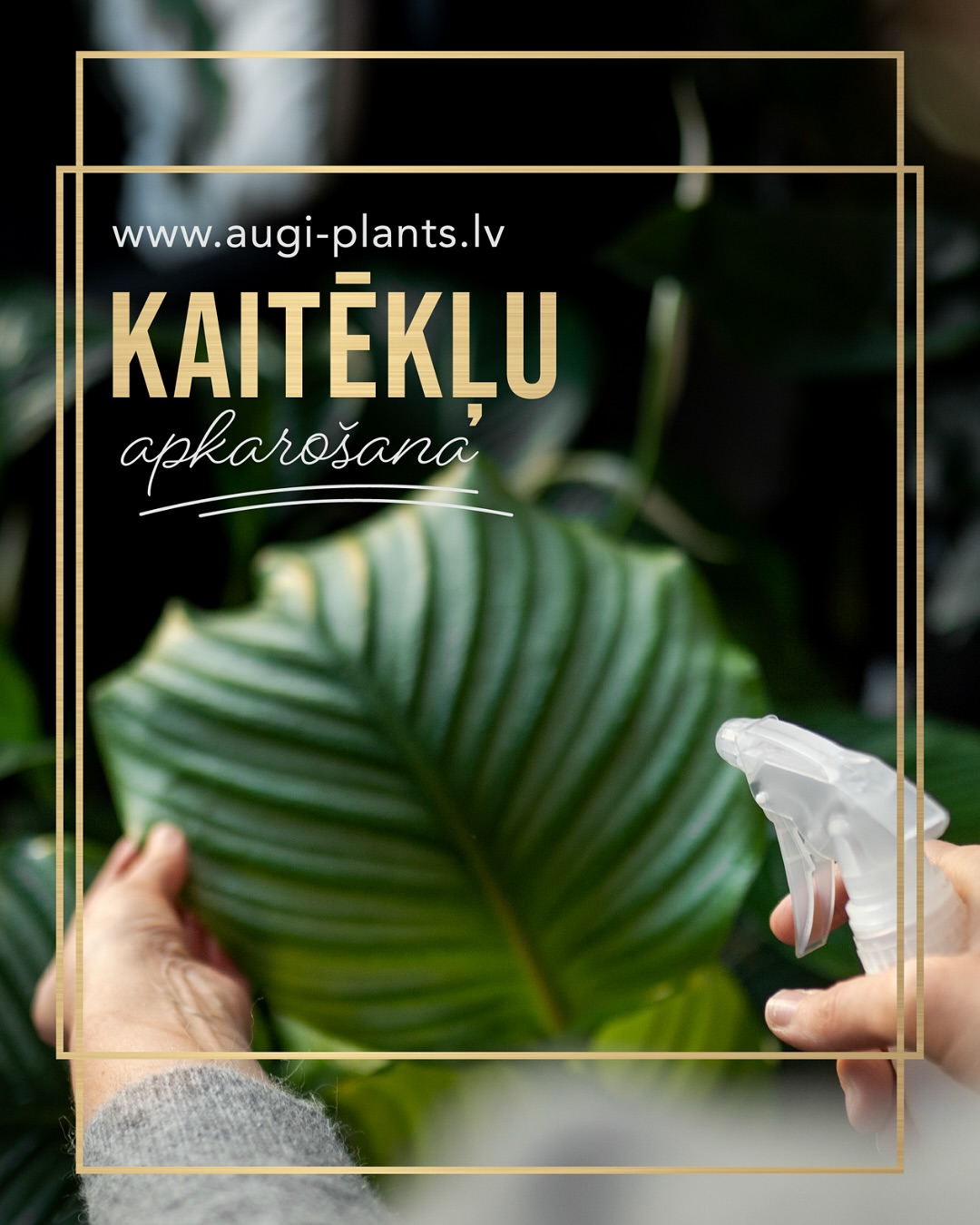 augi_plants