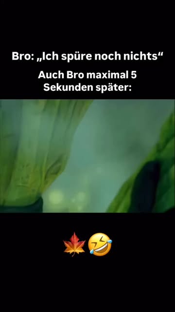 Instagram avibes.de