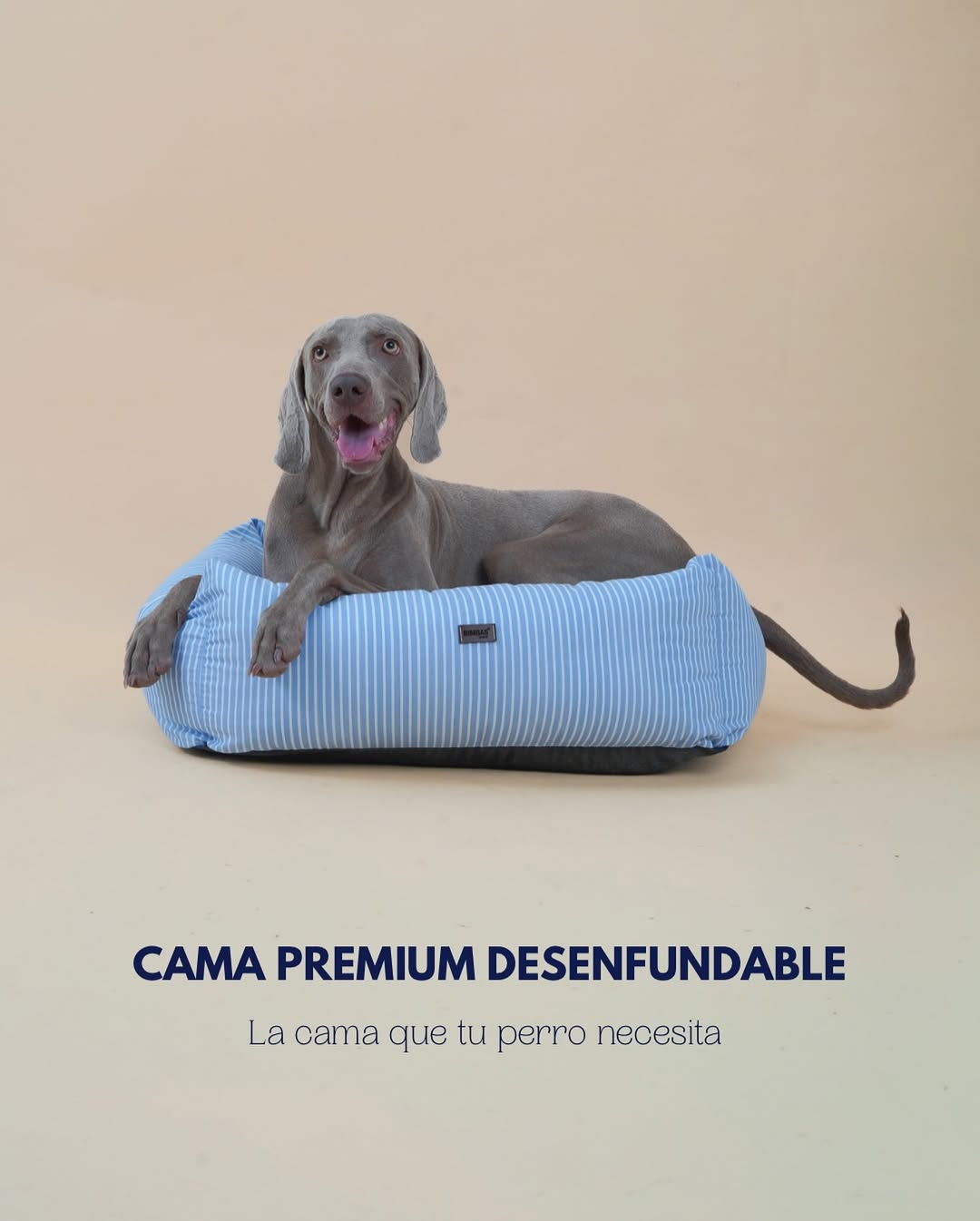 bimbasbrand