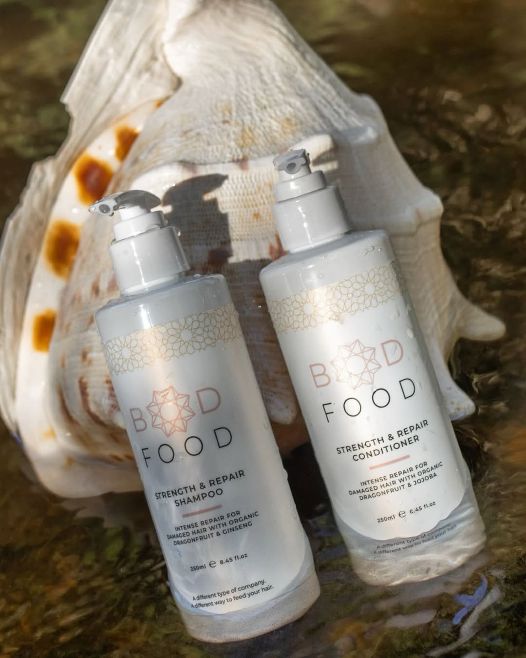 Instagram bodfood