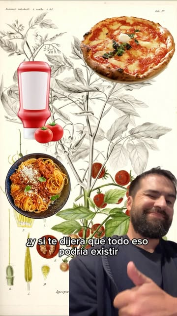 Instagram bosquechileno