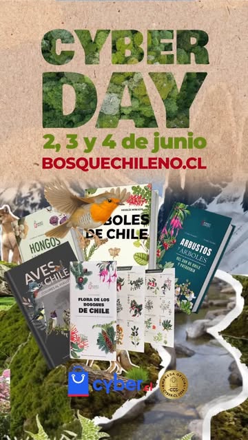 Instagram bosquechileno
