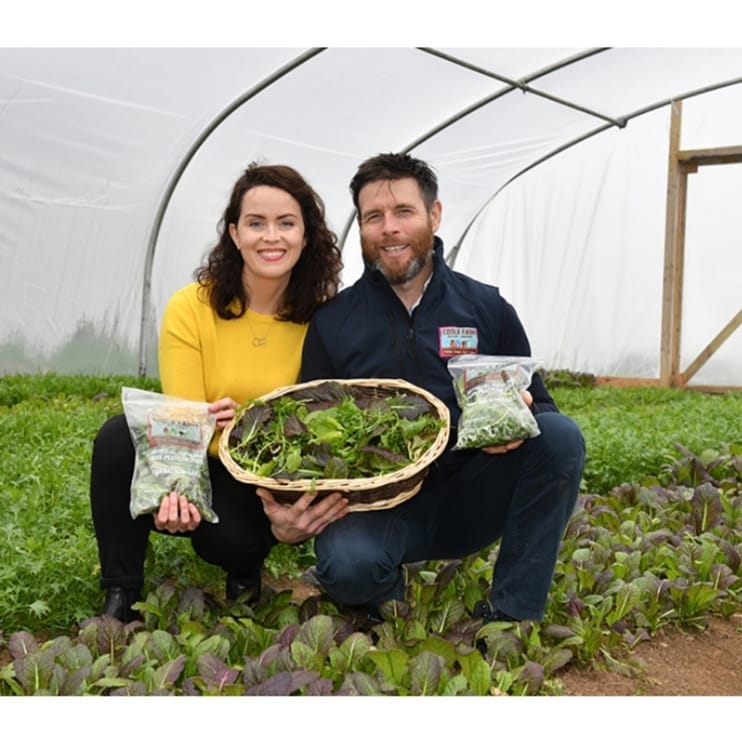 Instagram boynevalleyflavours