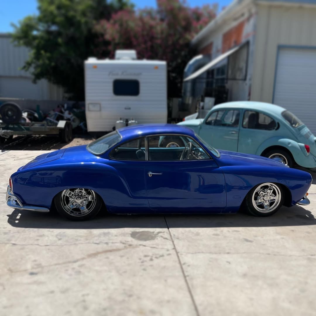 bugsnbuggies