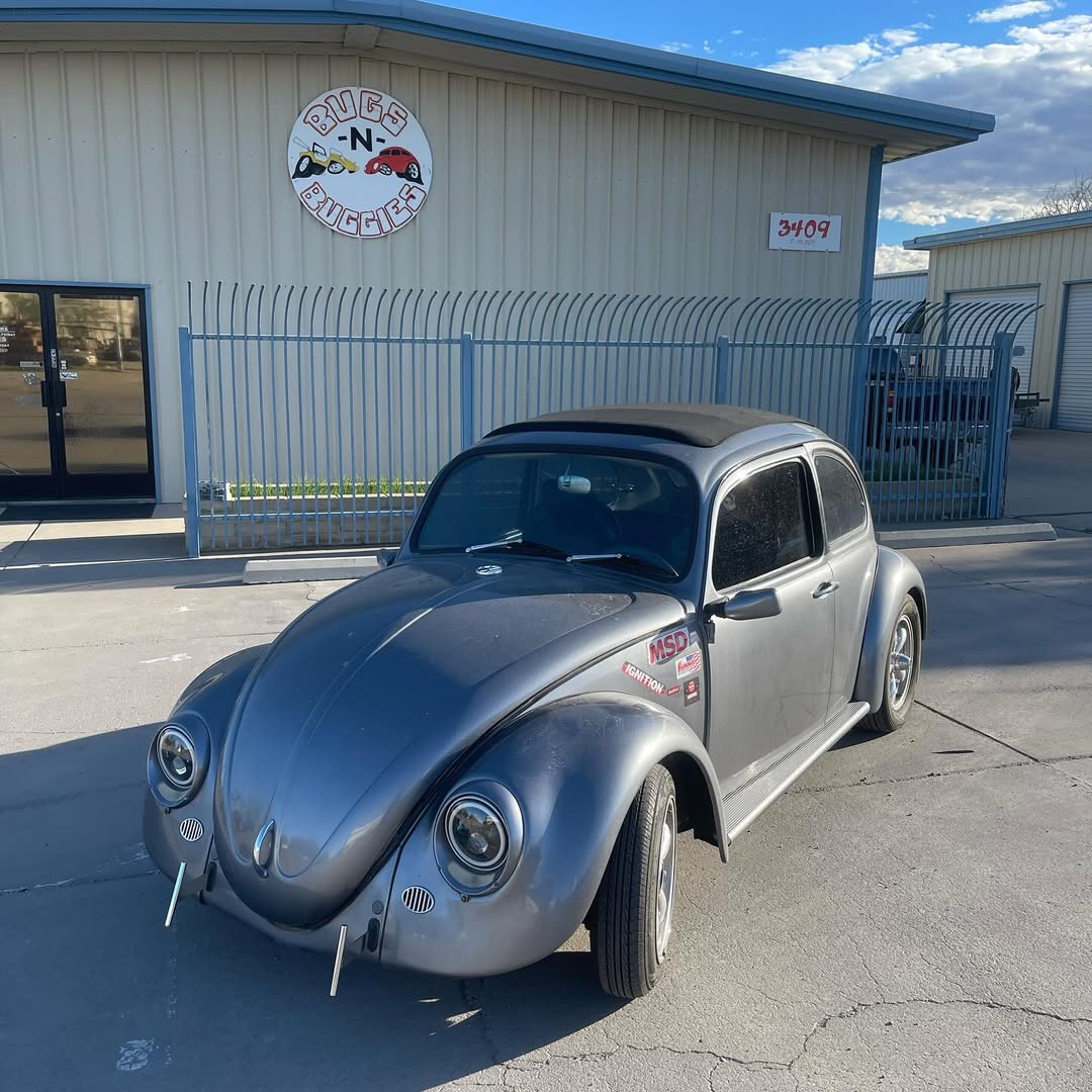 bugsnbuggies