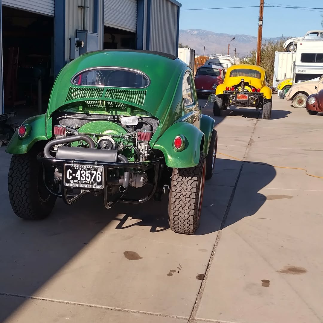 bugsnbuggies