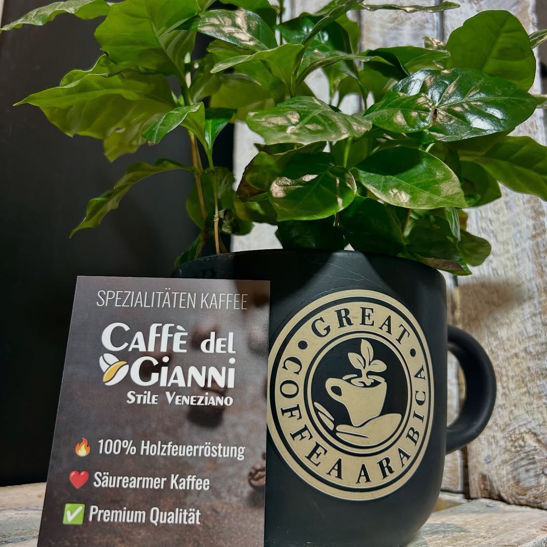caffedelgianni