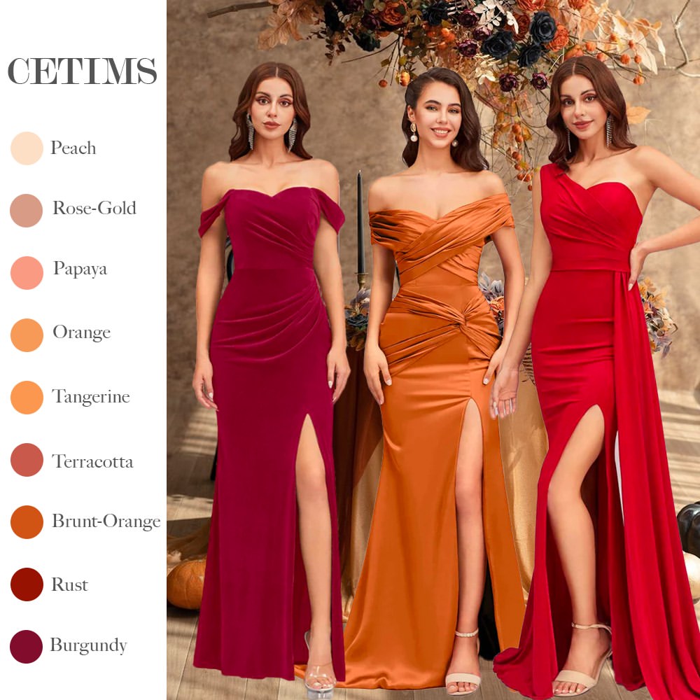 cetims_official
