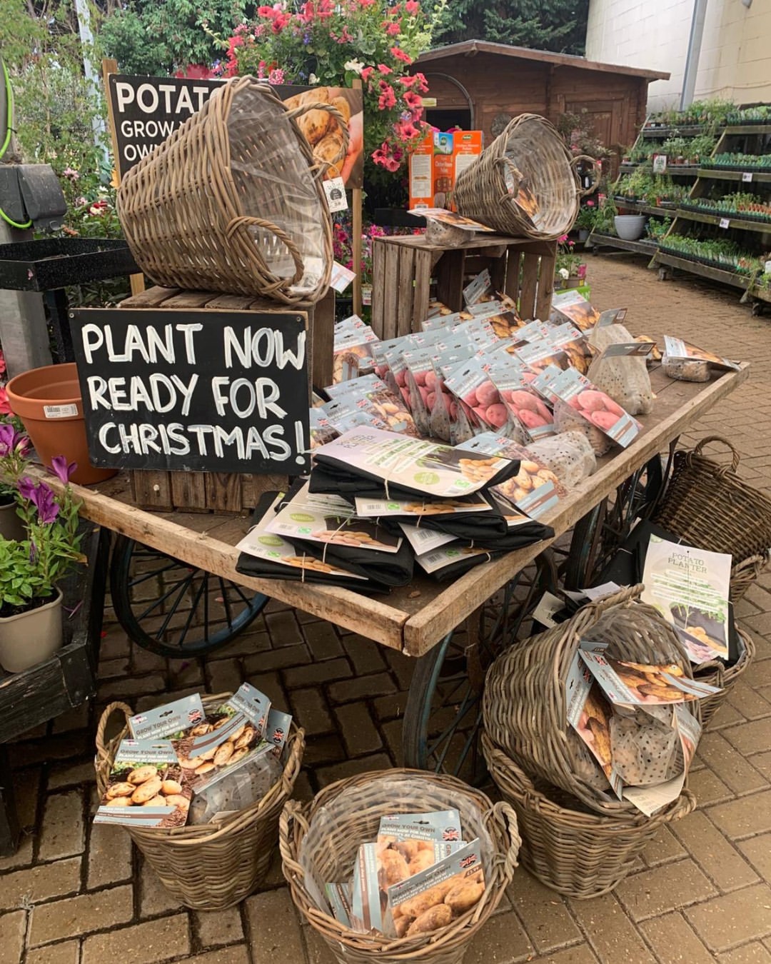 cherrylanegardencentres