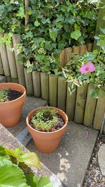 cherrylanegardencentres