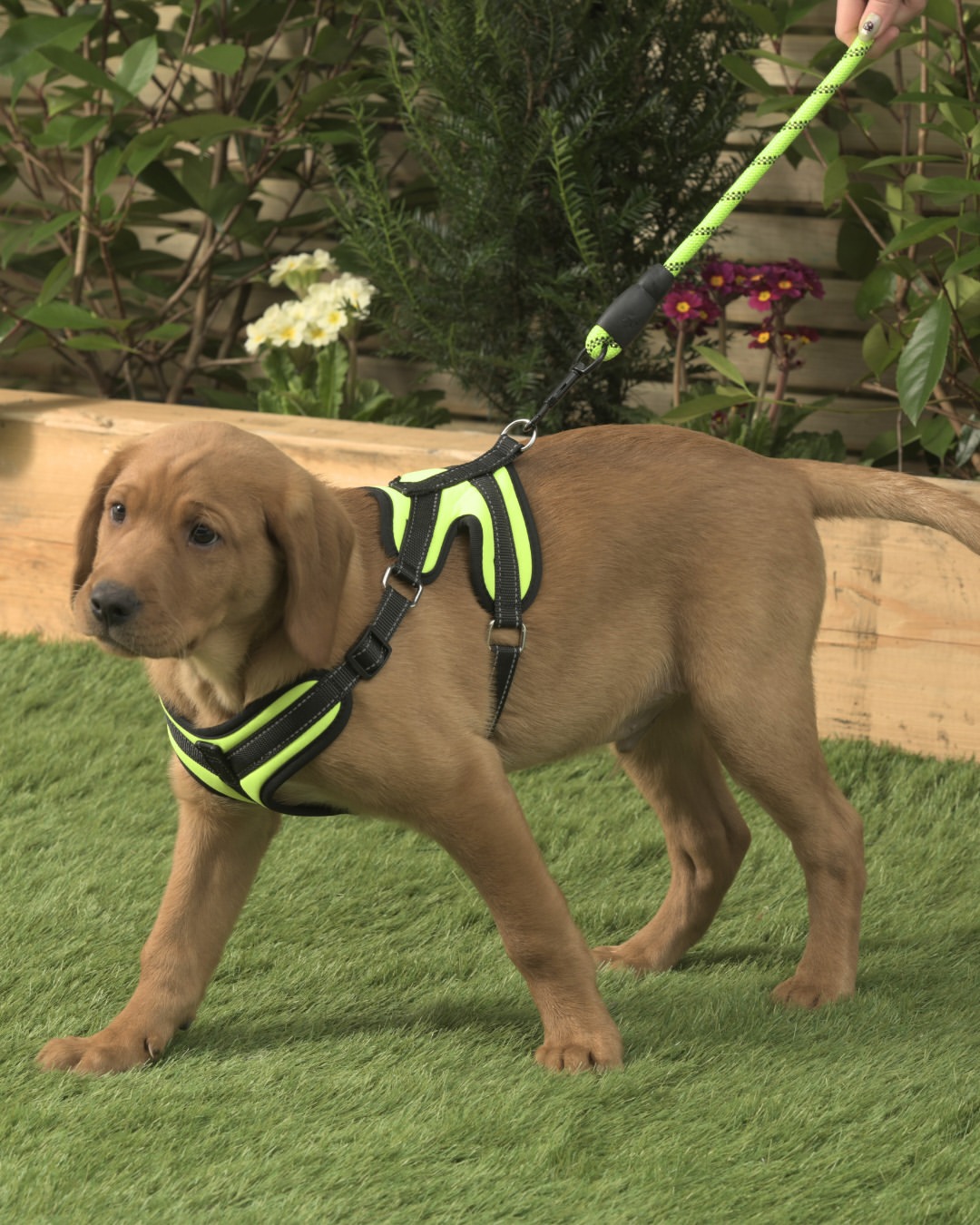 cherrylanegardencentres