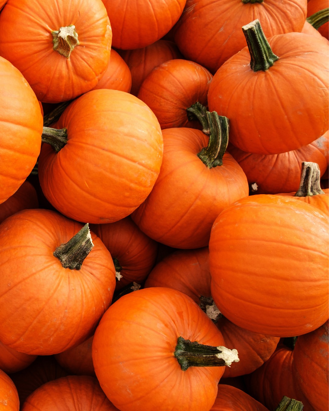 cherrylanegardencentres