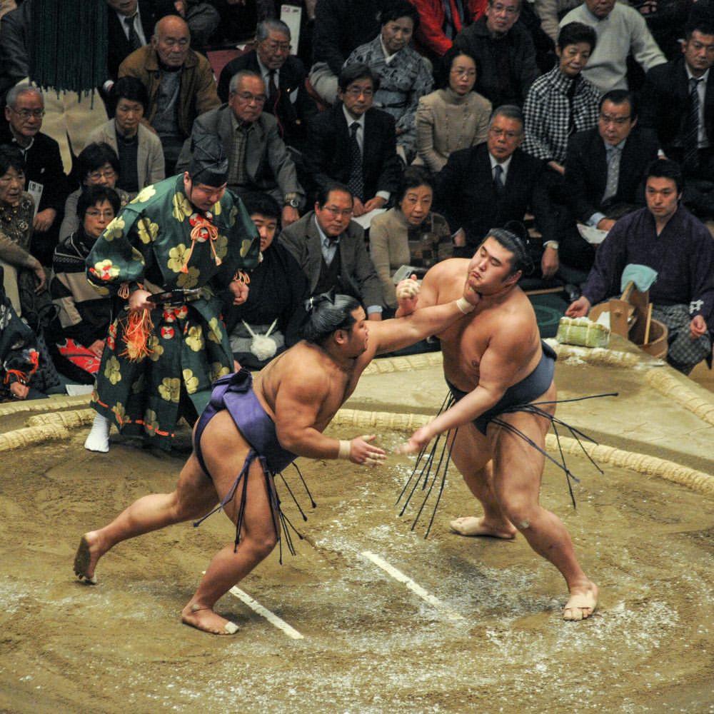 chidorijapan