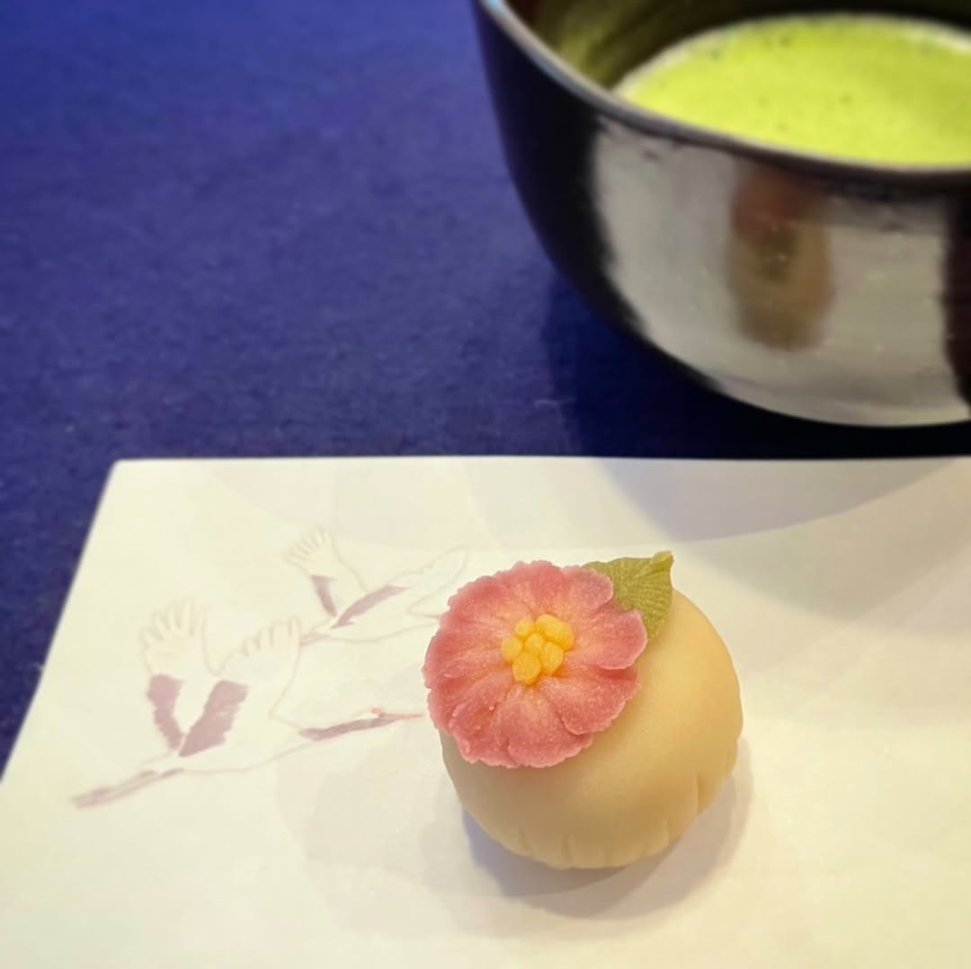chidorijapan
