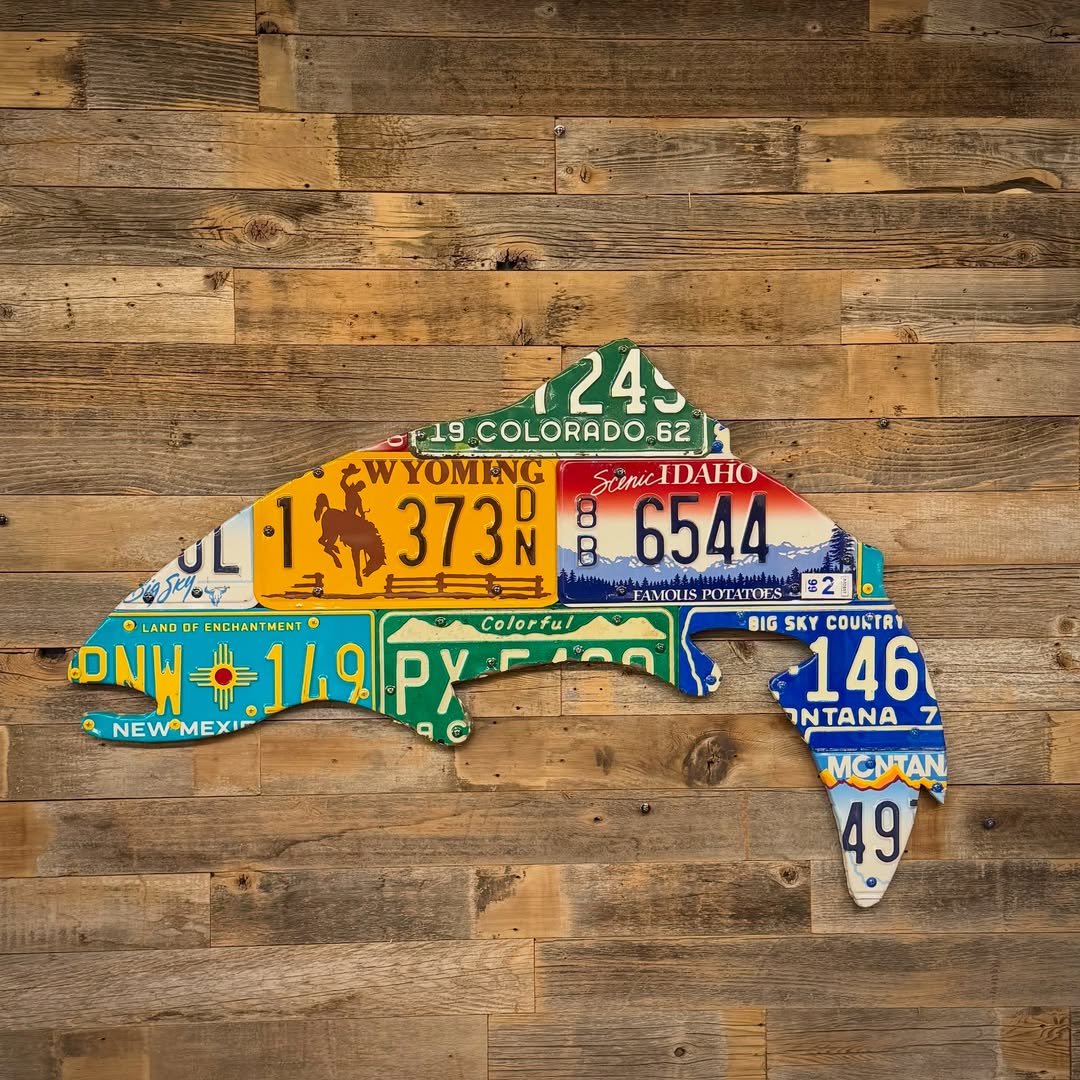 Florida 1970's Vintage Snook License Plate Art– Cody's Fish