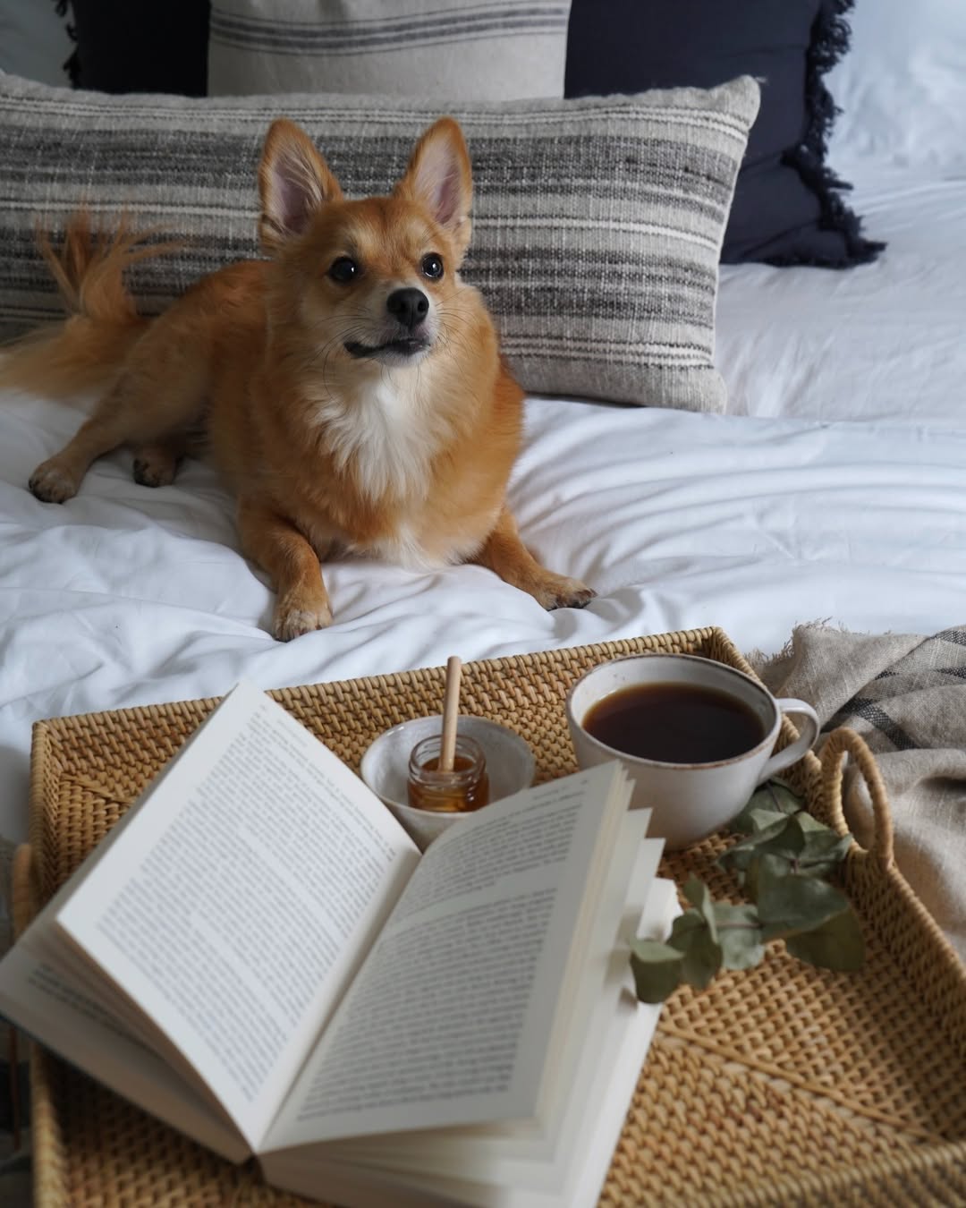 Instagram cuddledown_uk