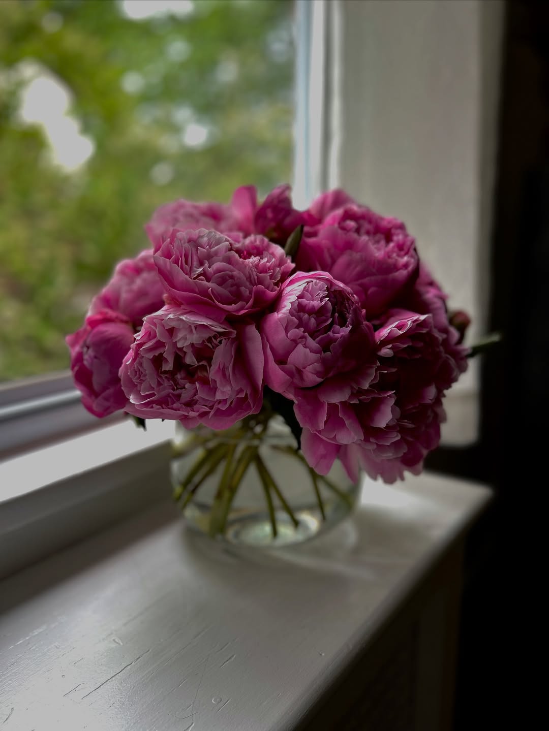 damselflyflowers