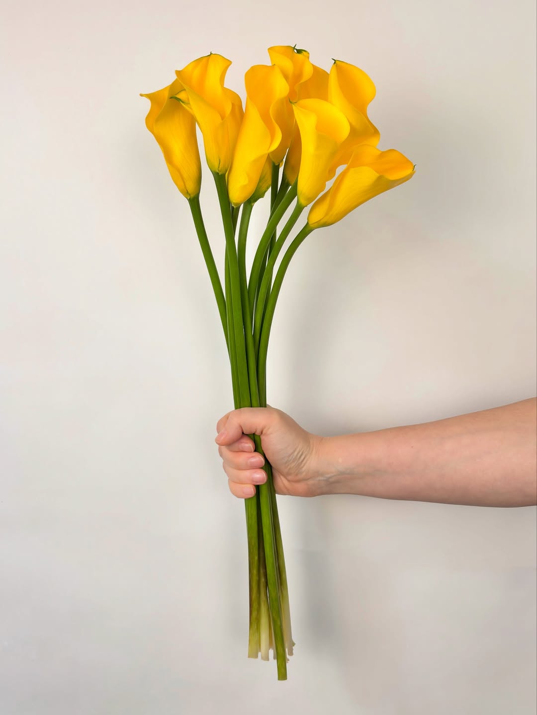 damselflyflowers