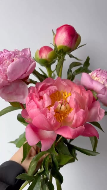 damselflyflowers