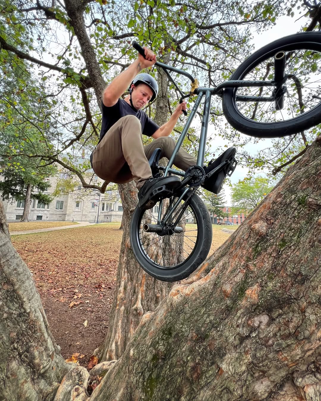 dkbicycles