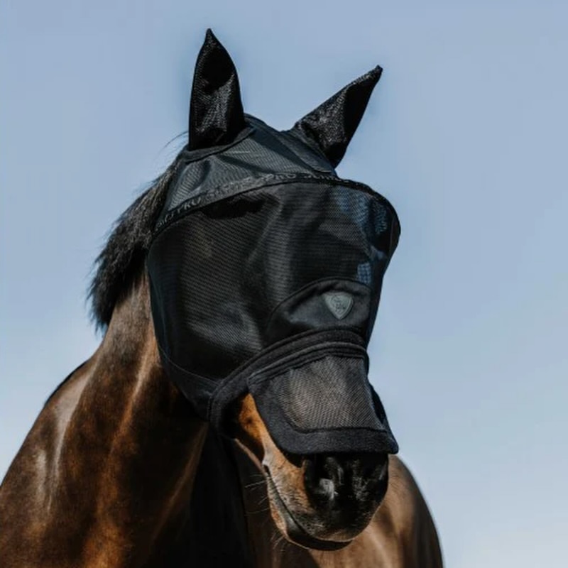 equizone_online