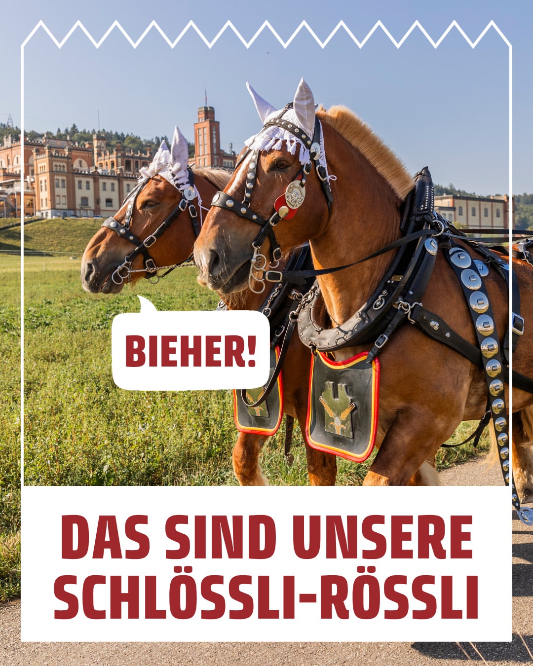Instagram feldschloesschen