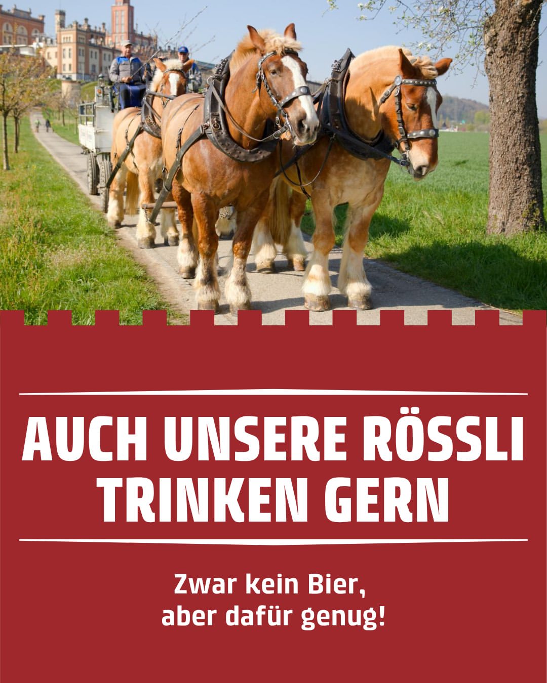 Instagram feldschloesschen