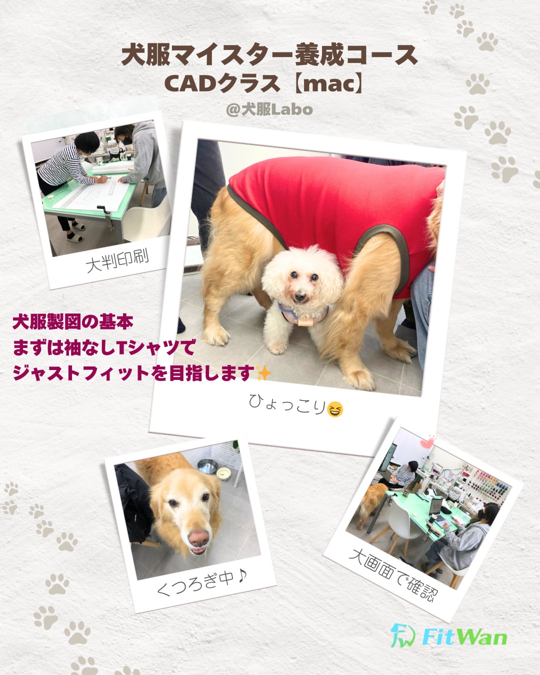 Fit Wan～ぴったりが見つかる犬服パターン(型紙)専門店