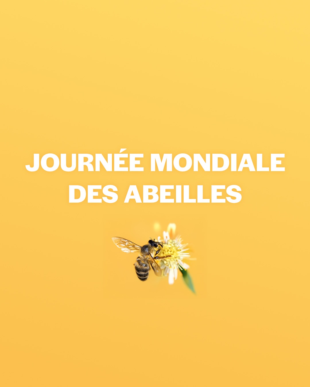fortepharmafrance