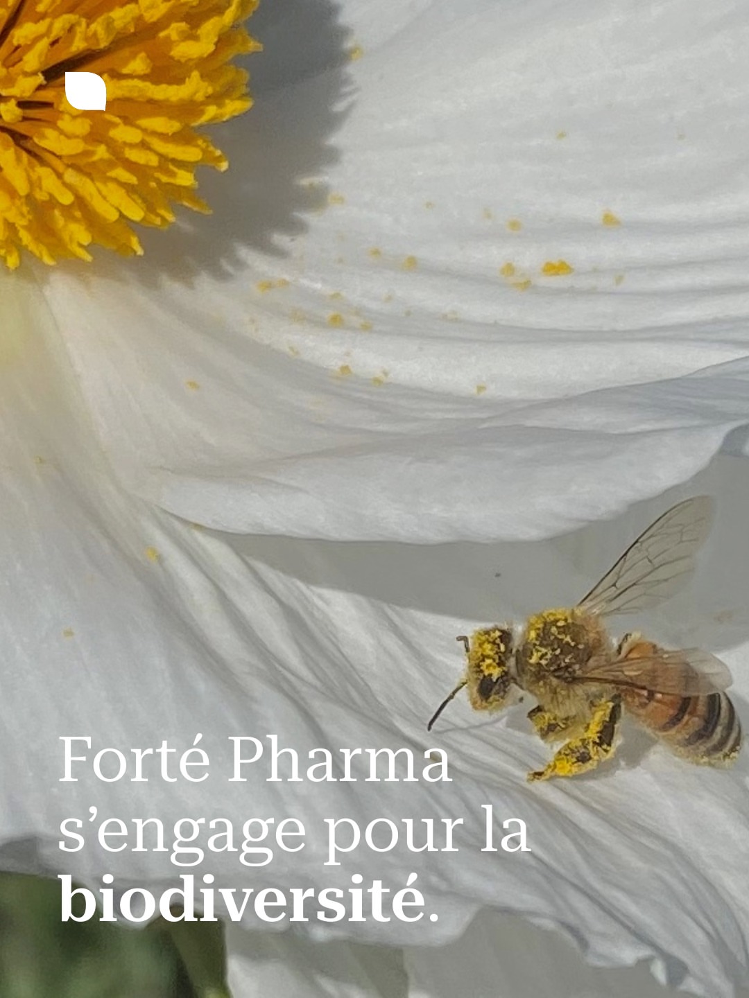 fortepharmafrance