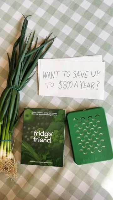 fridgefriendaus