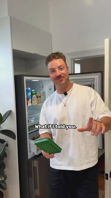 fridgefriendaus