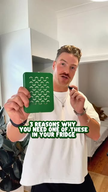 fridgefriendaus
