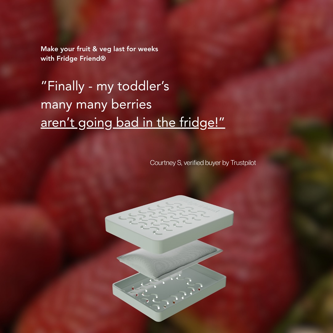 fridgefriendaus