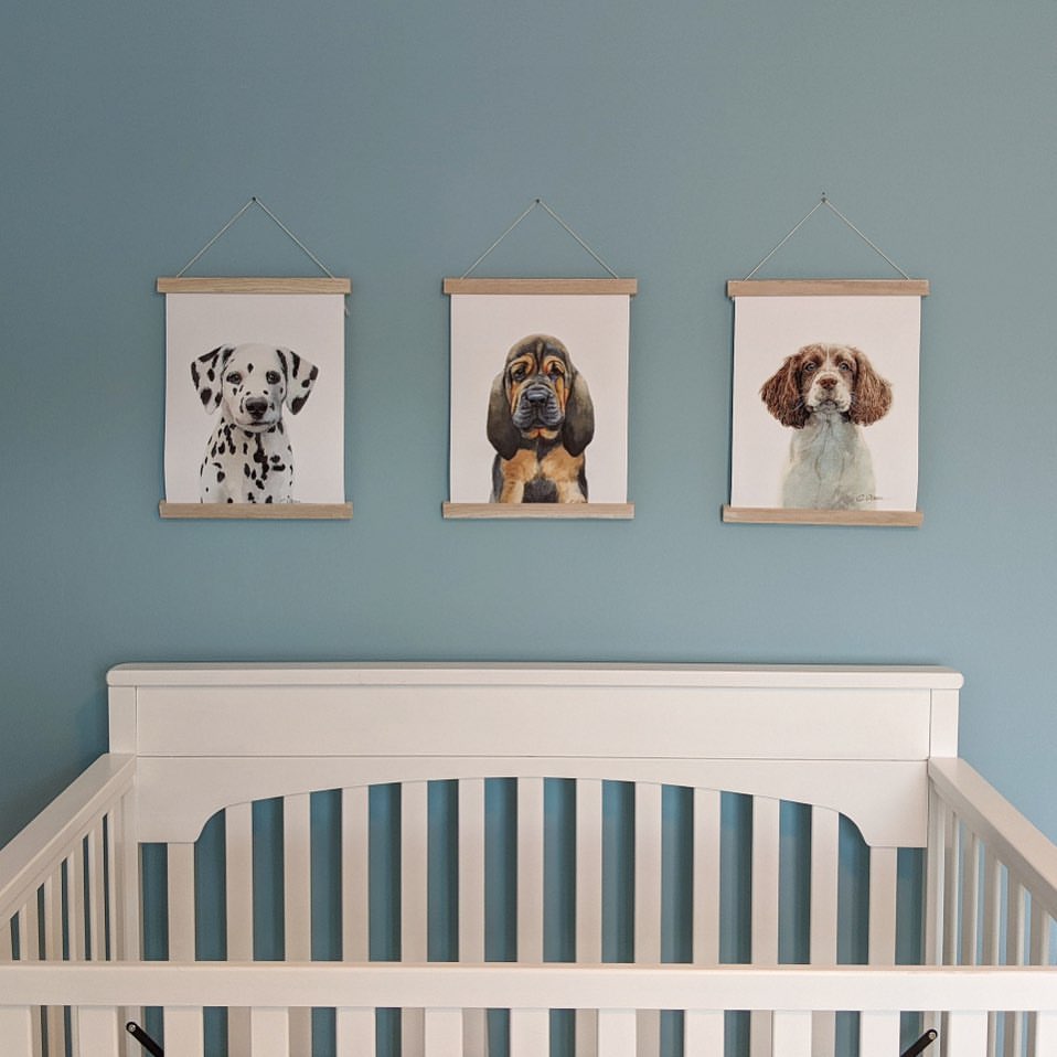 hangerframes