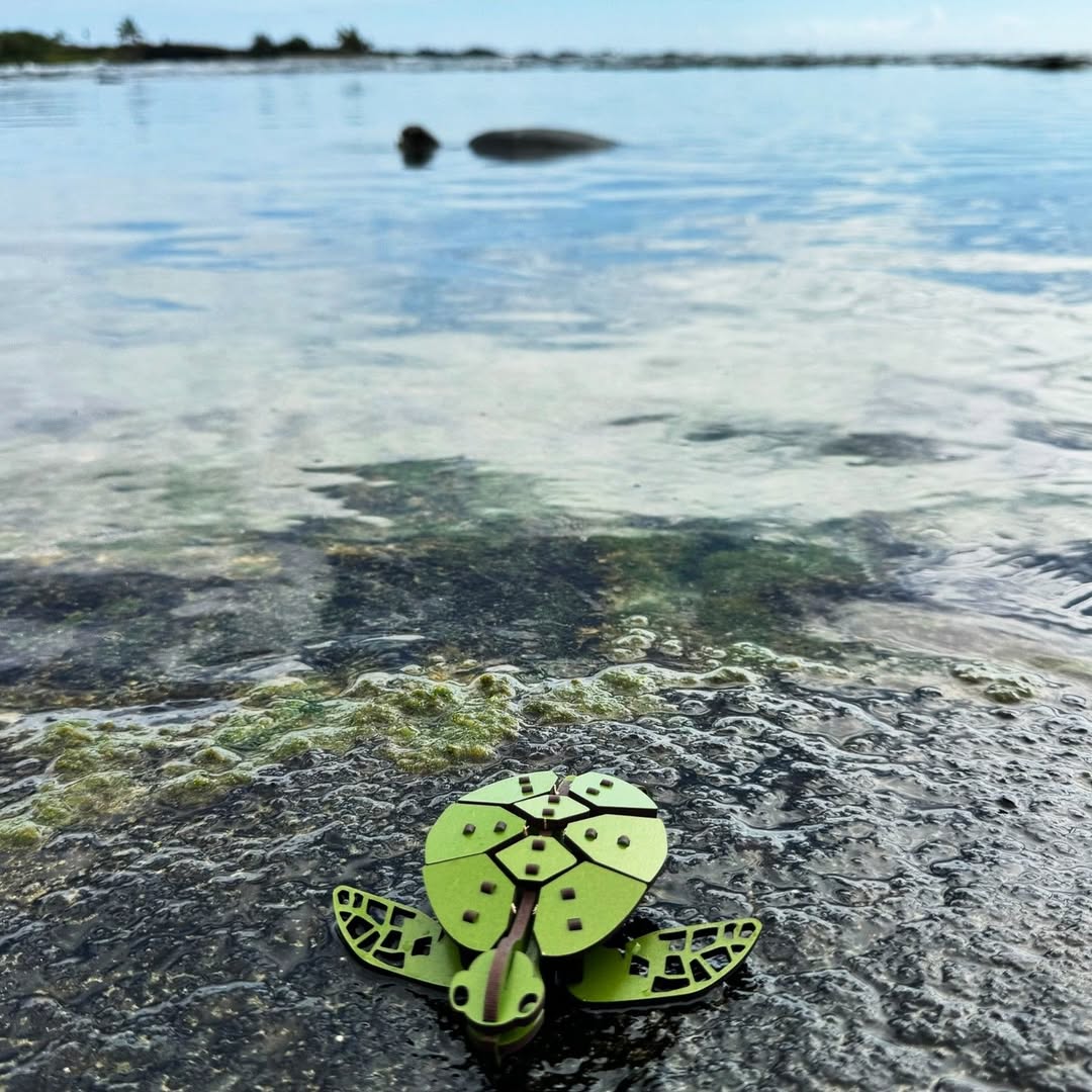 hawaiipacificparks