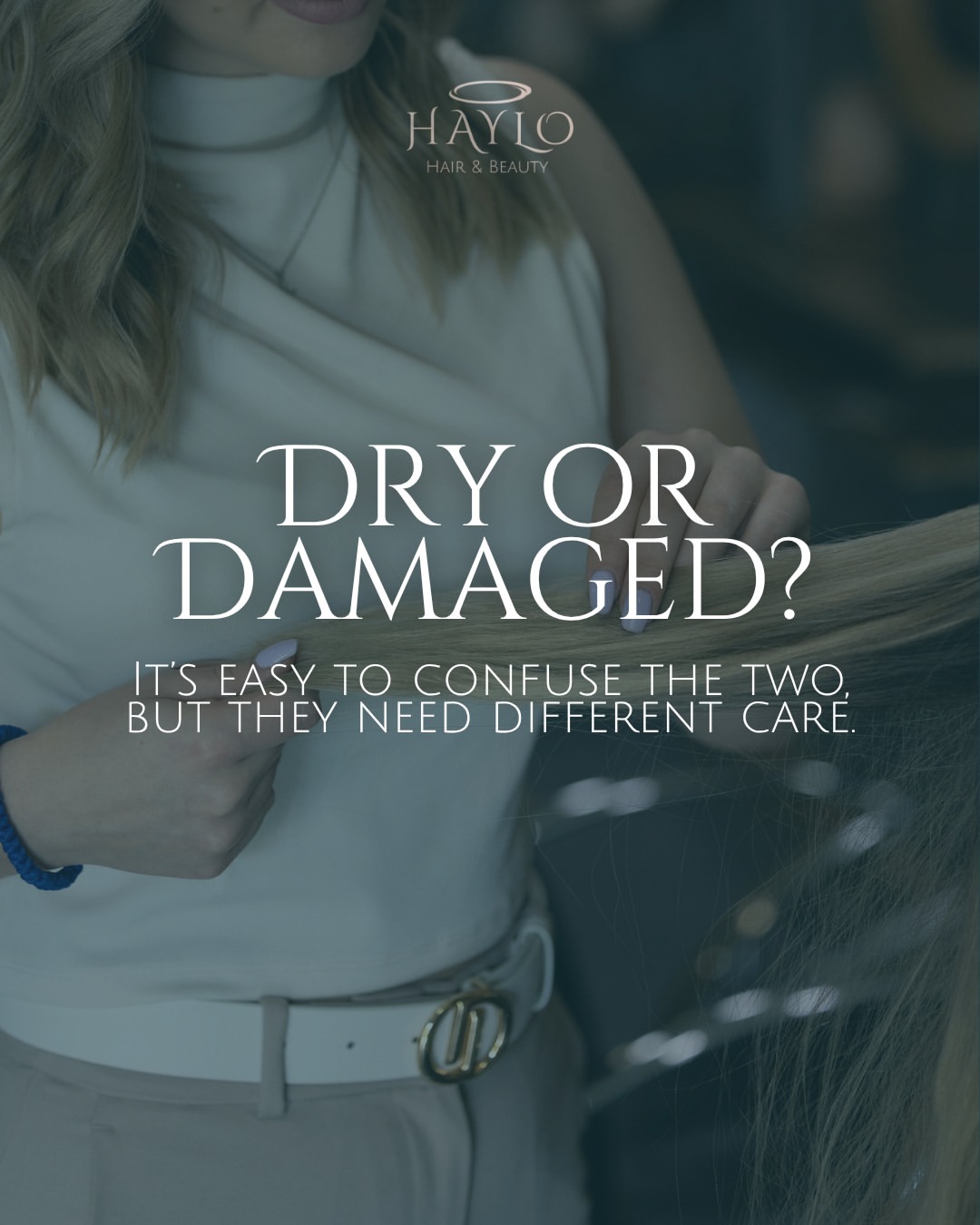 haylo.hairbeauty