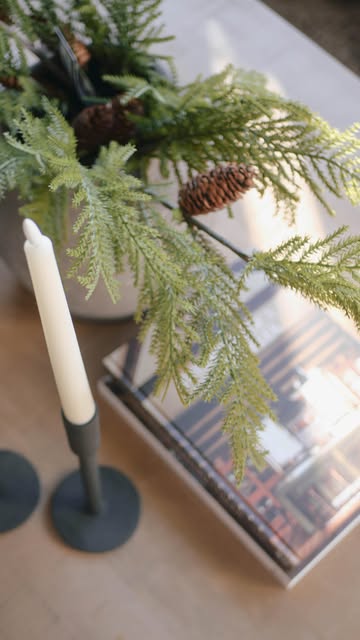 Instagram holland.house