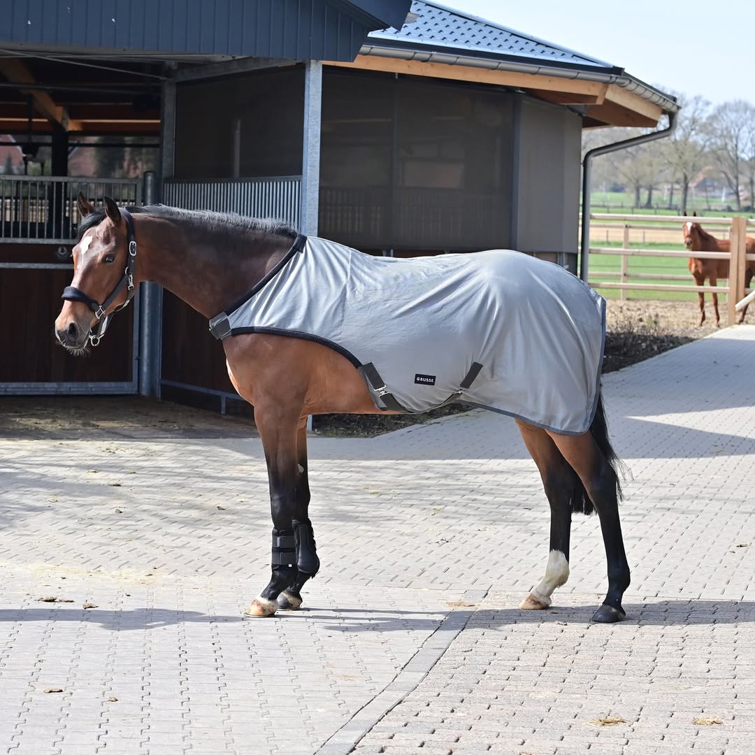 iqhorse.de