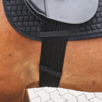 iqhorse.de