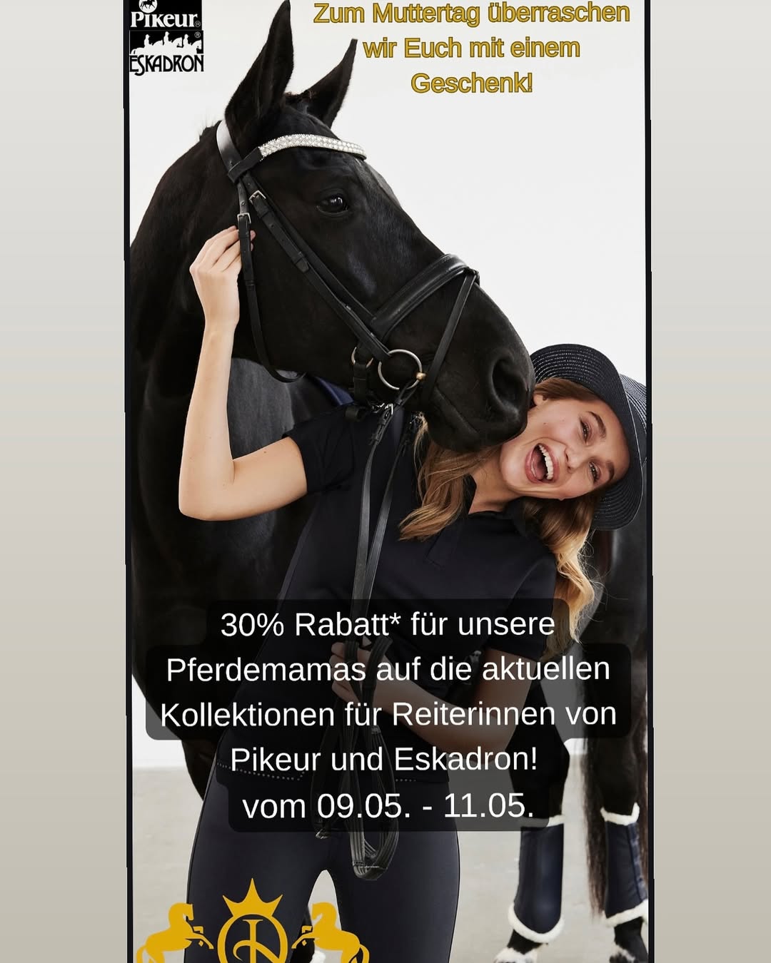 iqhorse.de
