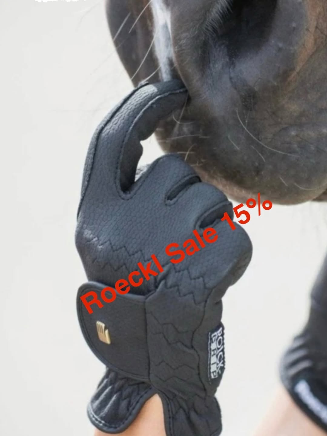 iqhorse.de