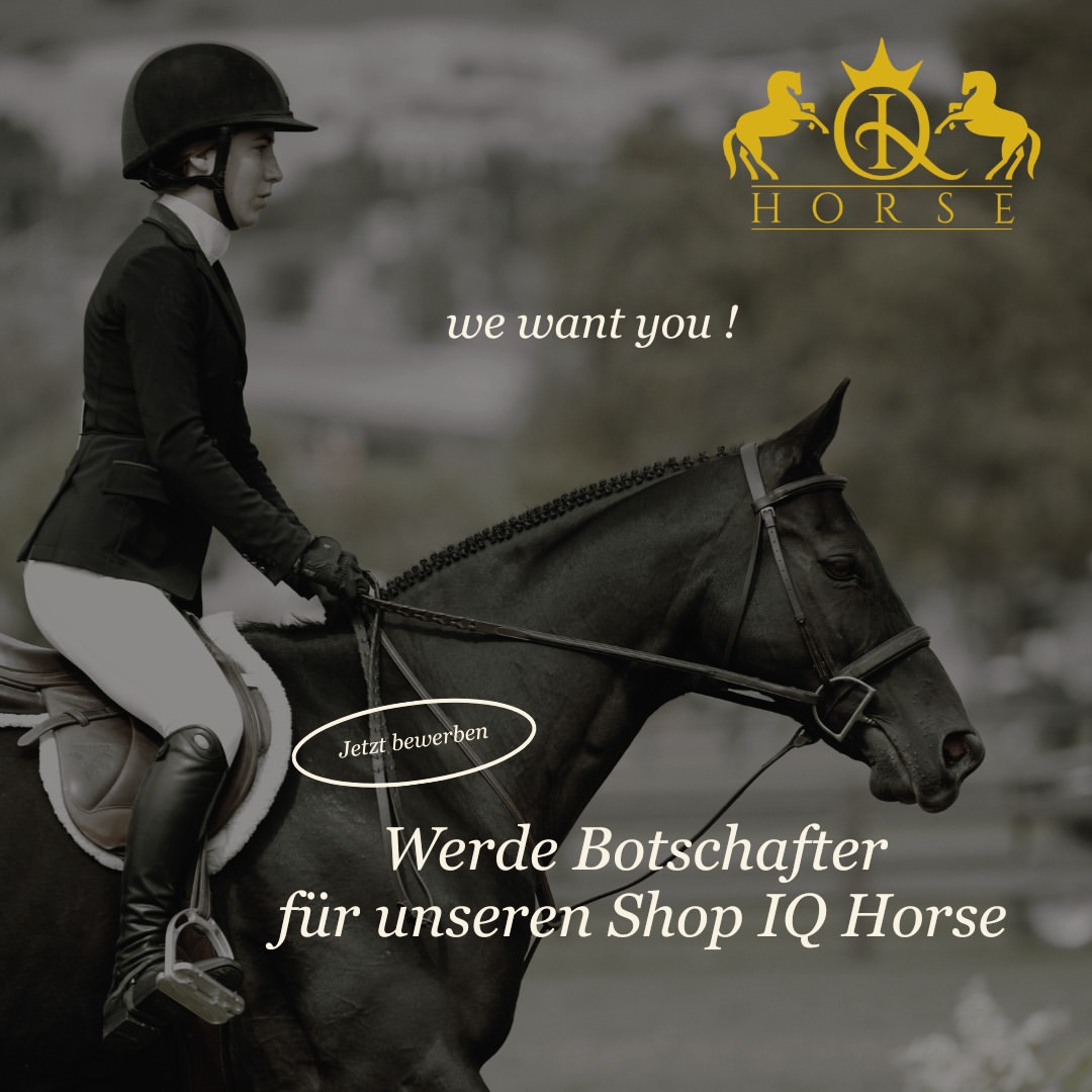 iqhorse.de