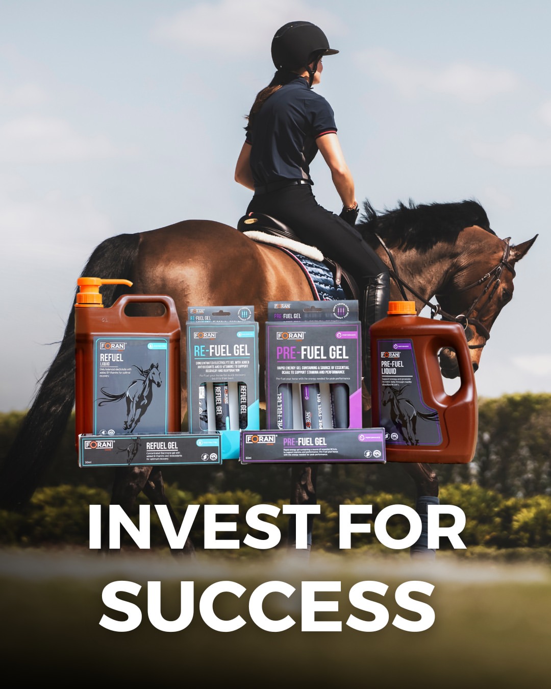 iqhorse.de