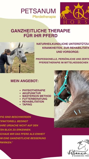 iqhorse.de