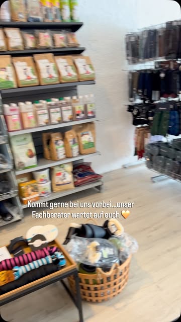iqhorse.de