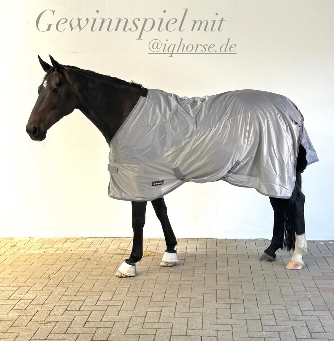 iqhorse.de